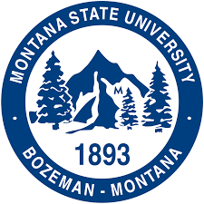 Montana State University image