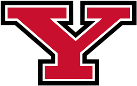 Youngstown State University image