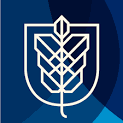 Hult International Business School image